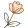 StitchNBloom client review of WooDigitals